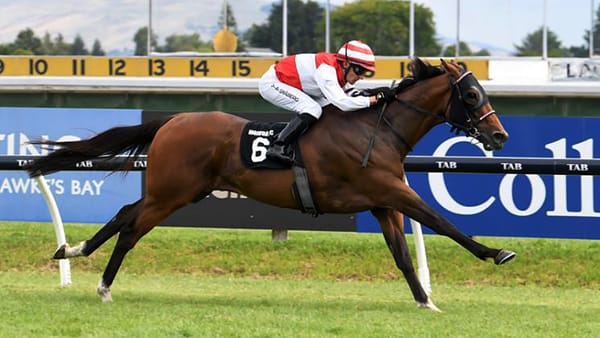 Thurlow after another Auckland Cup