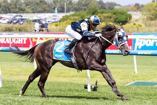 Unbeaten 3YO having immediate effect for stud