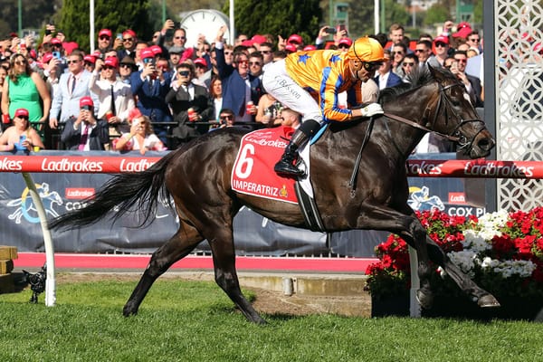 Imperatriz puts in casual performance in Cranbourne trial