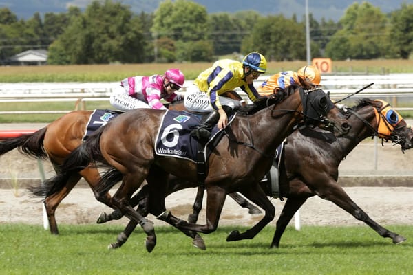 Karman Line gets special win in Lisa Chittick Plate