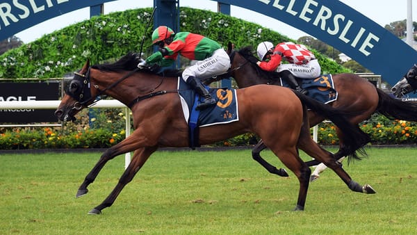 Former Derby winner back in winners circle in Avondale Cup