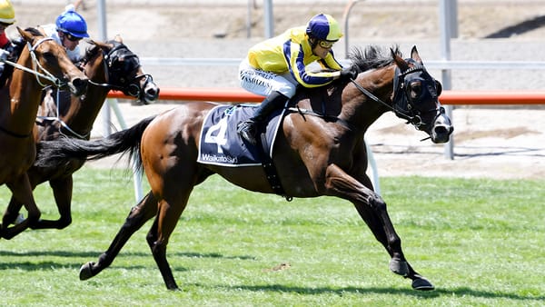 Jon Snow on the board