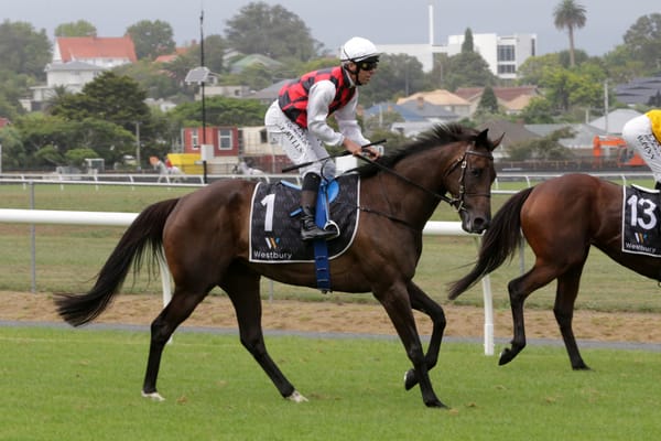 La Crique back in work