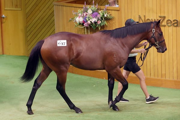 Karaka Millions focus for Benner