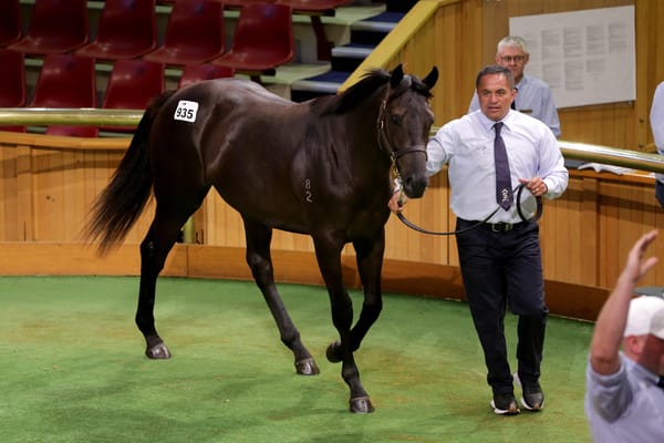 Alexanders secure Ace High colt
