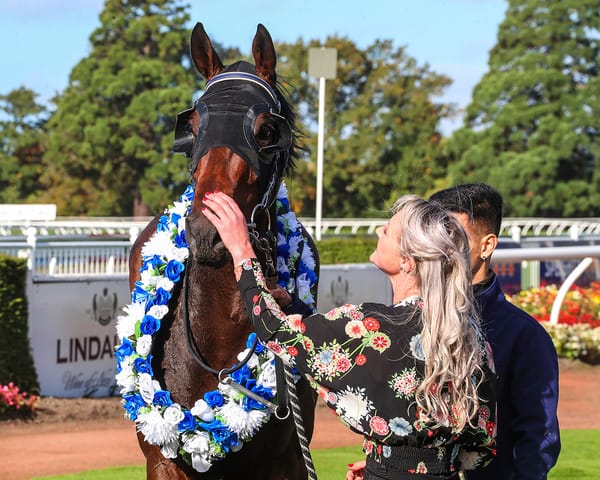 Miss Layla on path to black-type challenge