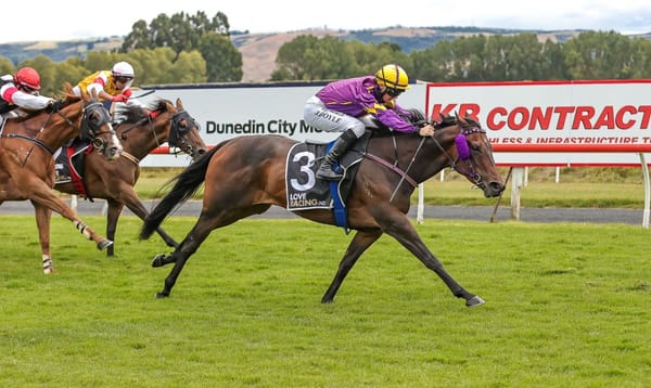 Adannaya steps into big shoes for Robinson