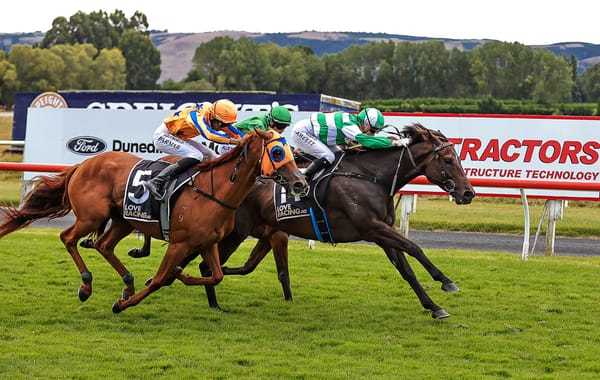 Tyler reclaims Dunedin Gold Cup