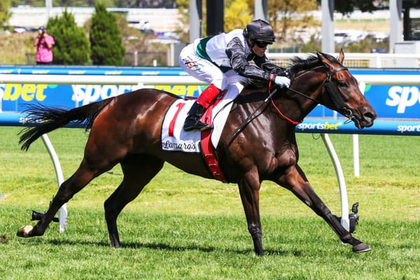 Mr Brightside adds Futurity to stunning season