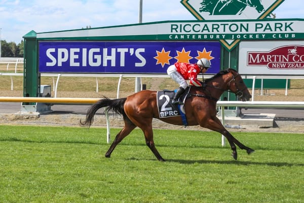 Mystic Park books Golden Ticket