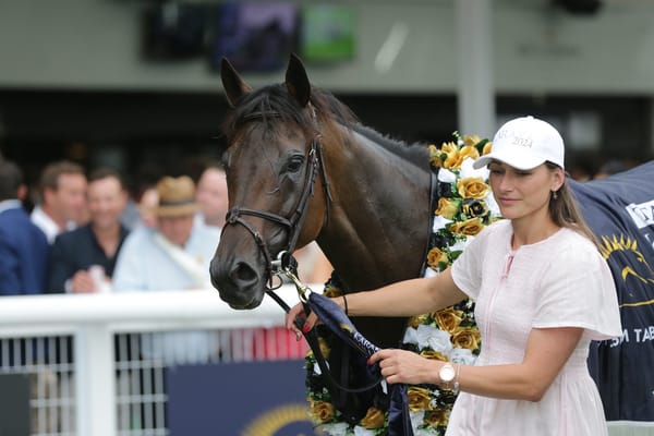 Orchestral going back to happy hunting ground