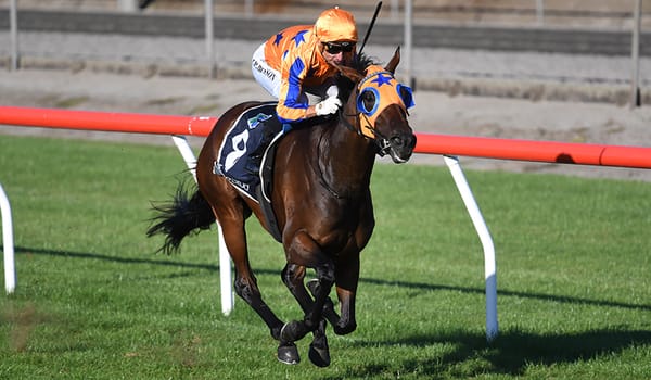 Matamata win sets filly on stakes path