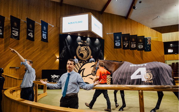 Phenomenal Results Achieved at The NZB Kiwi Slot Auction