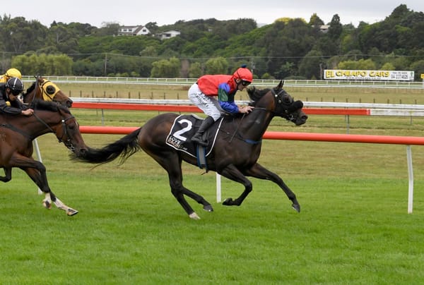 Solidify win puts him in Derby contention