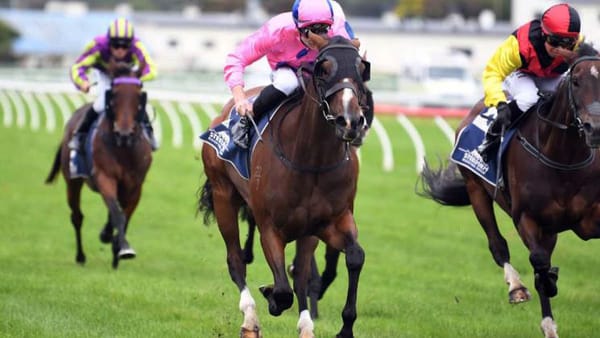 Newman’s sweet mares look well placed at Tauherenikau