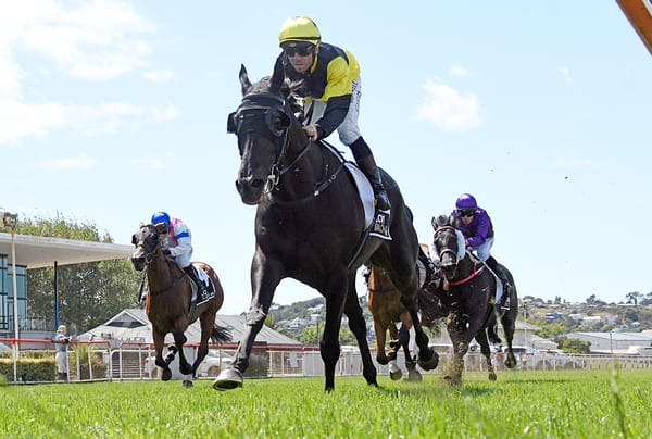 The Underbelly makes a bold statement