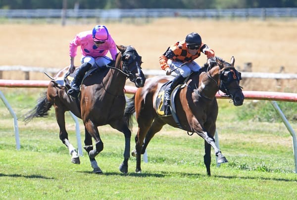 Big spring plans in store for Town Cryer