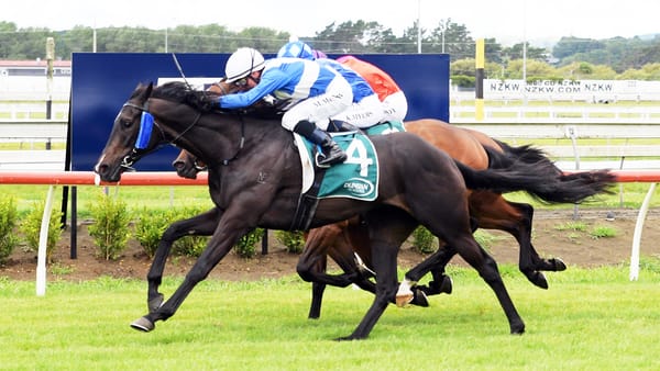 Trust In You targets Group features