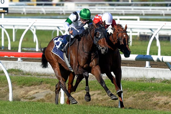 Little Avondale set to celebrate Lowland Stakes