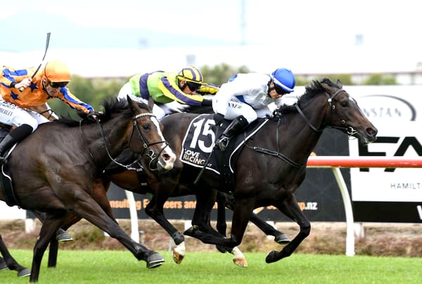 Champion Scandinavian jockey making most of New Zealand stint
