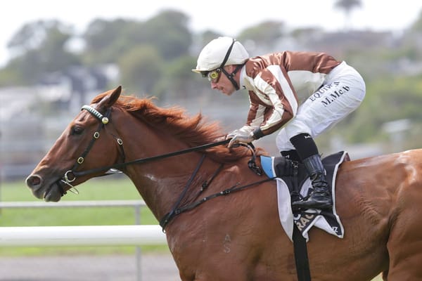 Exciting Adam I Am back in winners circle