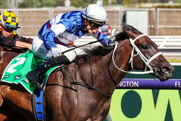 Atishu headliner at Magic Millions sale
