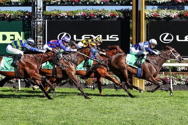 Top families continue to perform for Stud