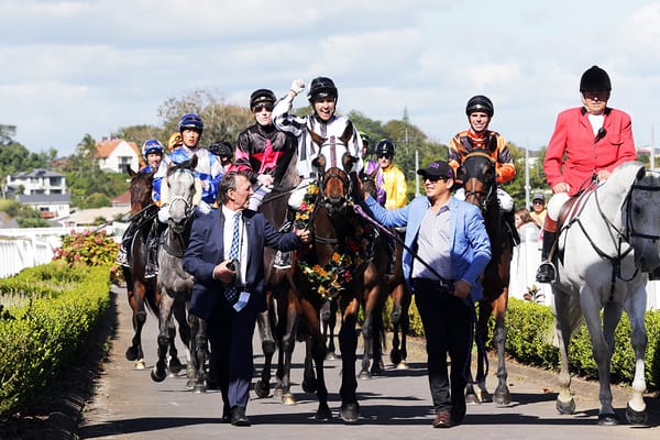 Belclare heading to the sale ring