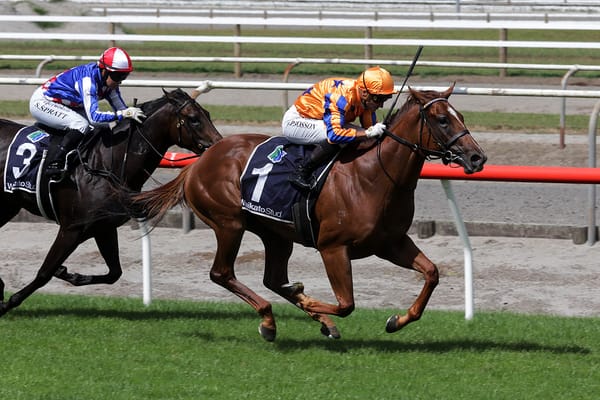 Te Akau filly up for Group One challenge