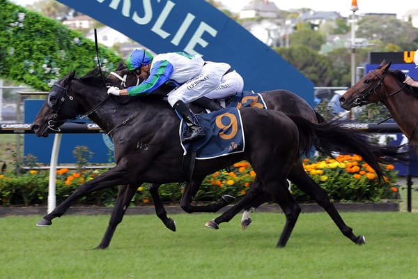 Certainly maintains Te Akau’s Mufhasa Stakes dominance