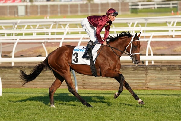 Stokes locks in Star's spring targets