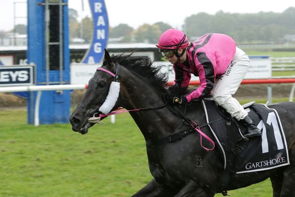 Complicate gets deserved win at Tauranga