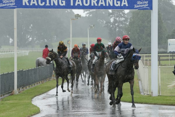 Diss Is Dramatic boosts broodmare value