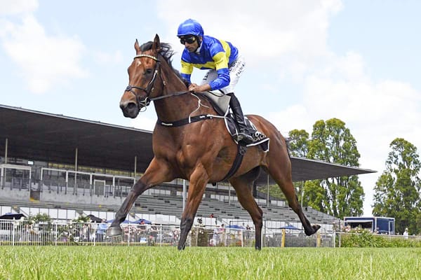 Youth takes on experience for Wexford Stables