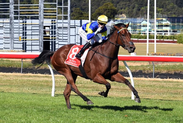 Major prize for Grail Seeker at Trentham
