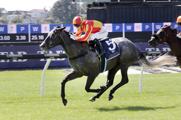 Grey Haze takes out Pearl Series Final