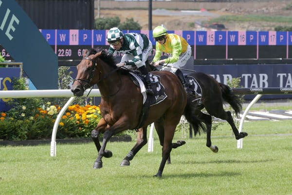 Talented Hat Trick delivers at Ellerslie