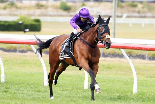 He’s A Doozy turns his season around