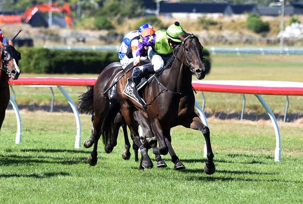 Stable star searching for Group One win