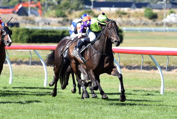 Cuddle Stakes delivers milestones for connections