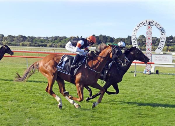 Field of Gold Tauherenikau bound