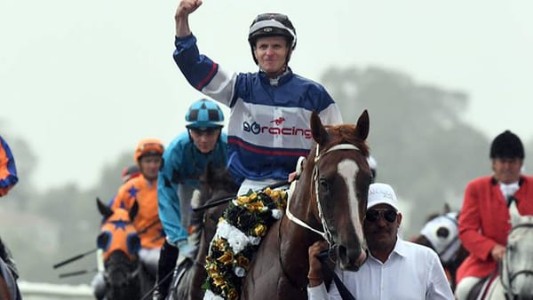 Velocious heads Marsh feature race contenders