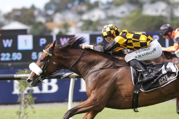 Jaarffi spearheads quality Noble line-up