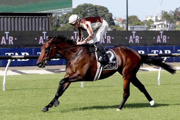 Legarto up for Summer Series Bonus