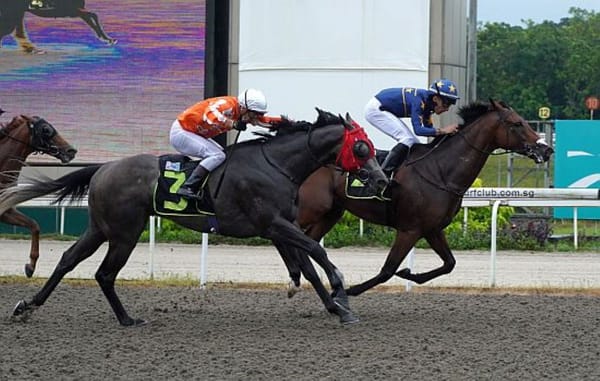 Connections combine for kiwi bred treble in Singapore