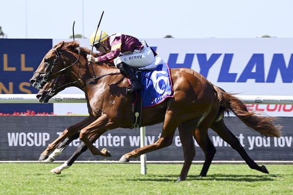 Super Seth colt stars in Baillieu