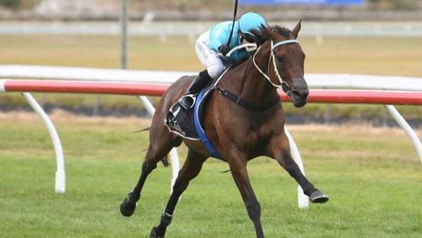 Reinvigorated Mahoe looking to extend winning tally