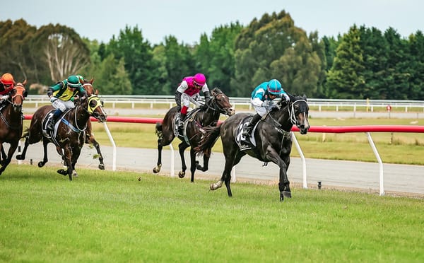 Drakaina dominant in NZB Airfreight Stakes