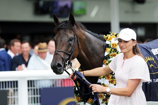 Orchestral humming ahead of NZ Derby