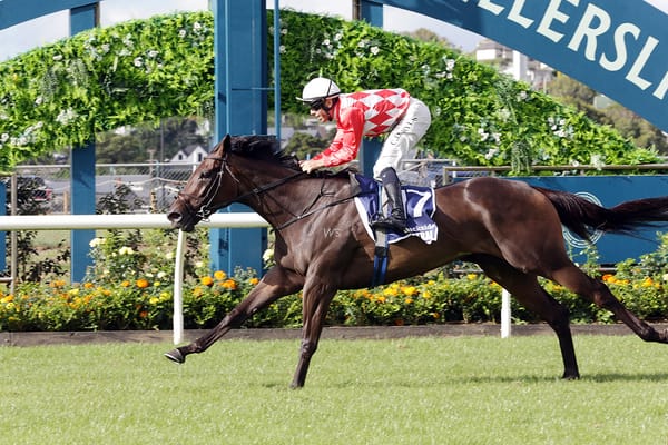 Kingsclere favoured to retain Vinery crown